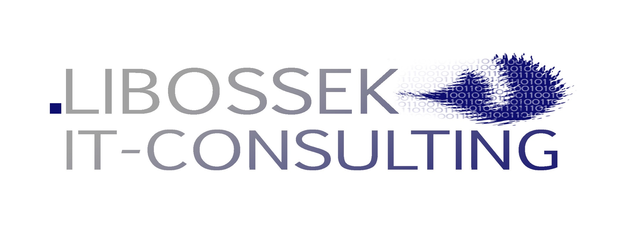 Libossek IT-Consulting